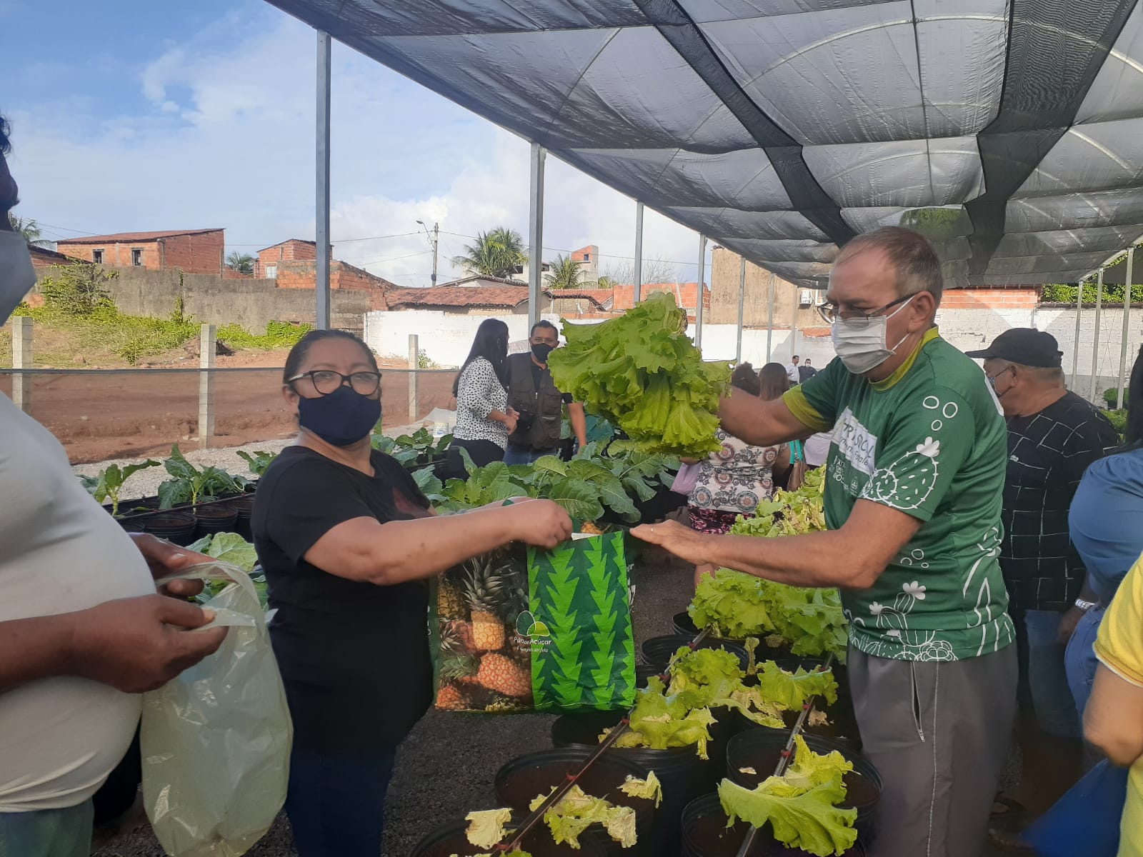 Horta Social inaugura nova estufa no Conjunto Palmeiras