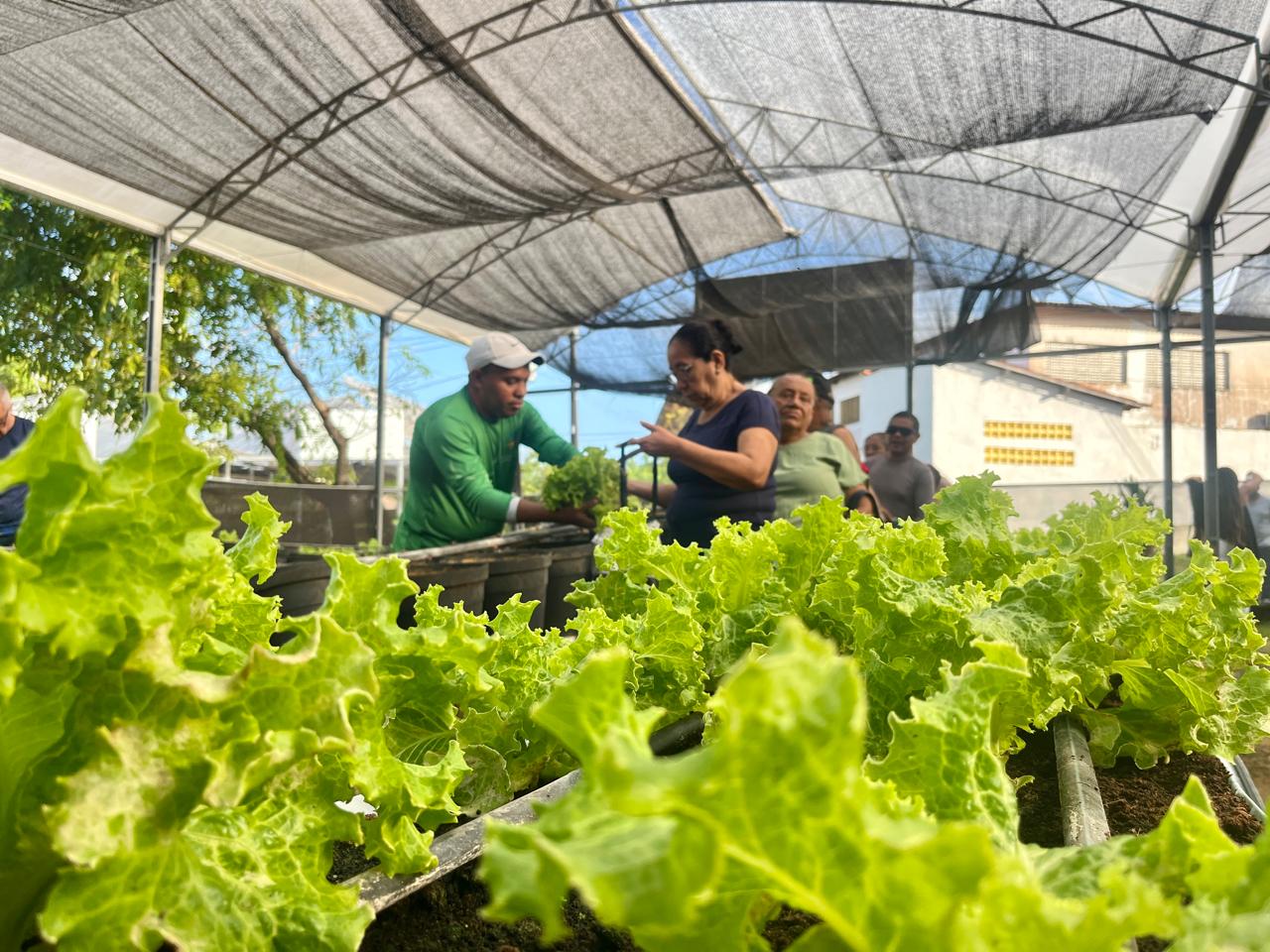 IAC-CE: Combatendo a Fome e Promovendo Sustentabilidade na Segurança Alimentar e Nutricional