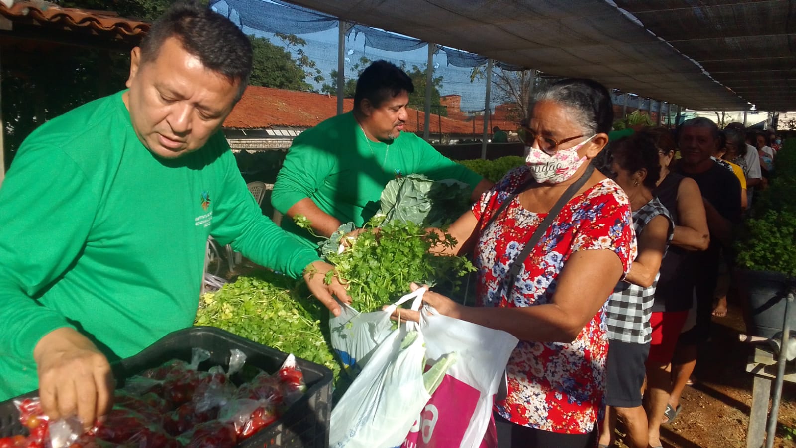 Horta Social